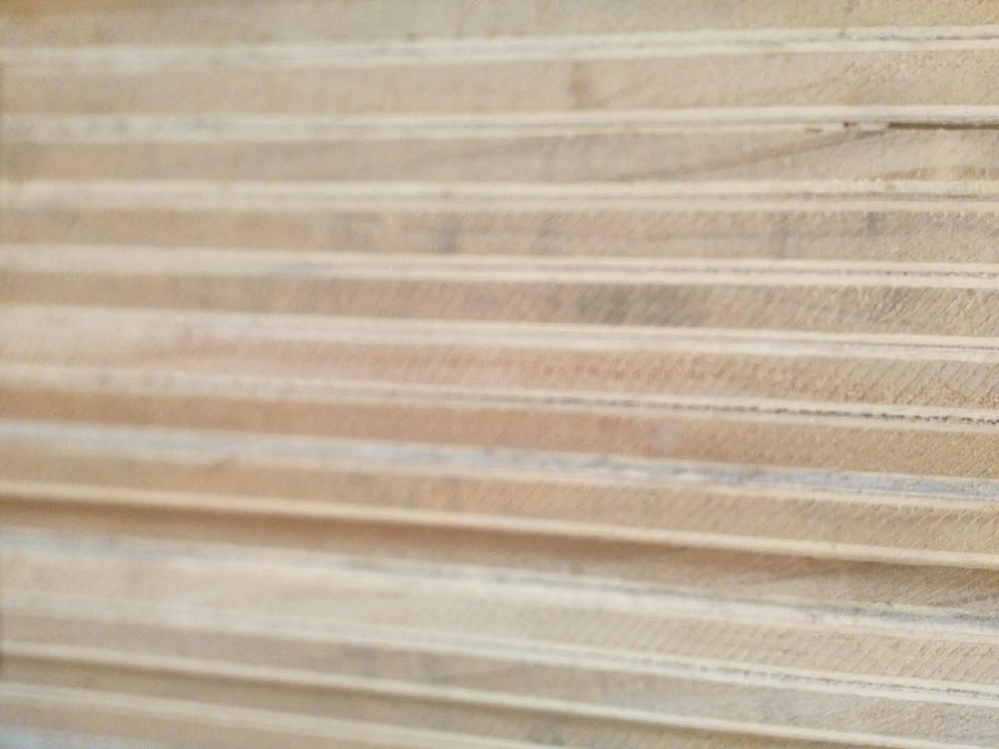 临沂瑞森木业 供应松木板***环保胶合板多层夹板杨木板