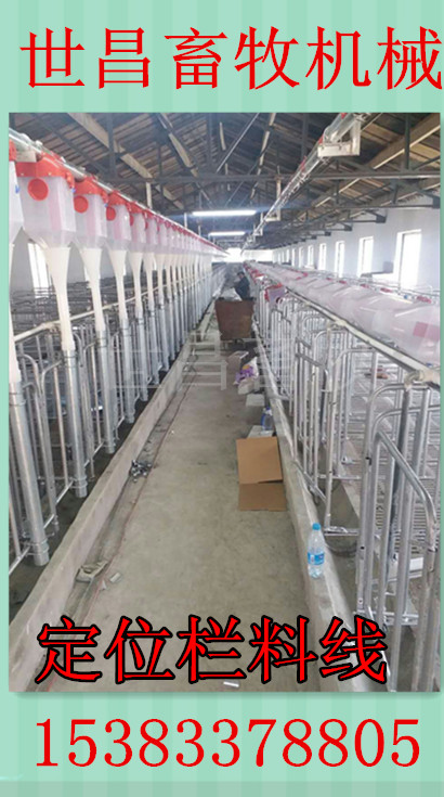 沧州生产猪用自动喂料线厂家