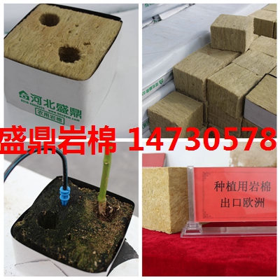 衡水农业大棚种植用岩棉块等岩棉栽培基质