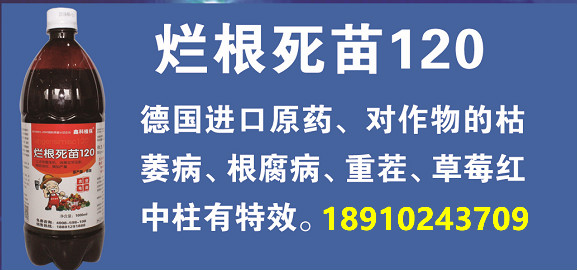 鑫科植保烂根死苗120针对作物根腐烂根死苗重茬黑腐根