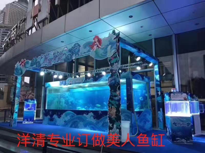 广州鱼缸厂家承接大型玻璃观赏鱼缸 鱼缸造景工程