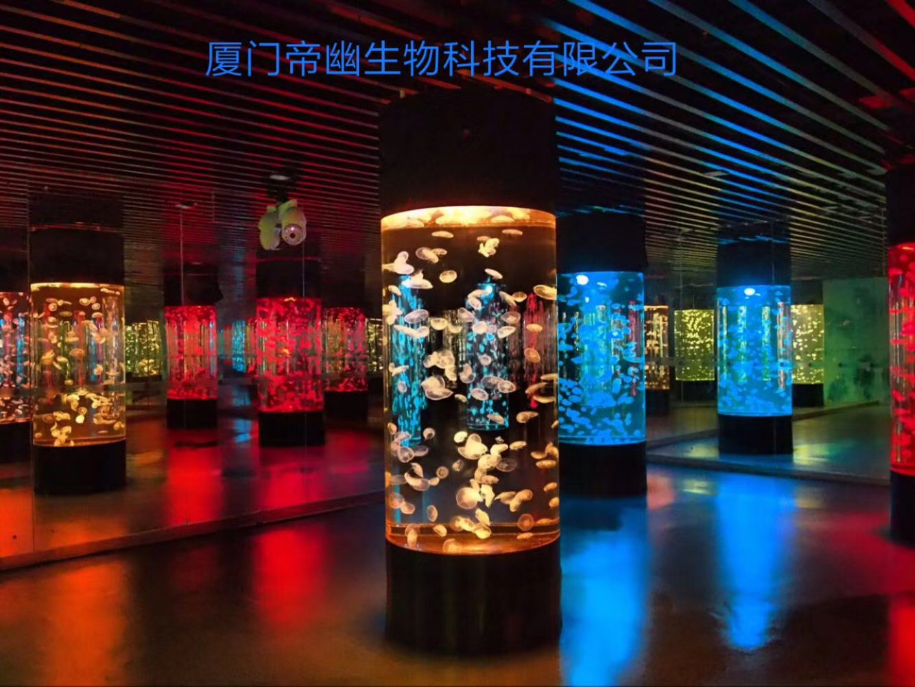 广州玻璃海鲜池定做深圳海鲜池安装海南海鲜池设计工程