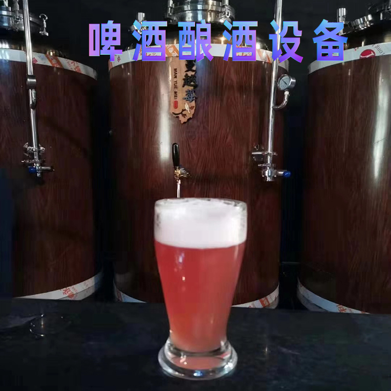 郑州大帝科技500升自酿啤酒设备
