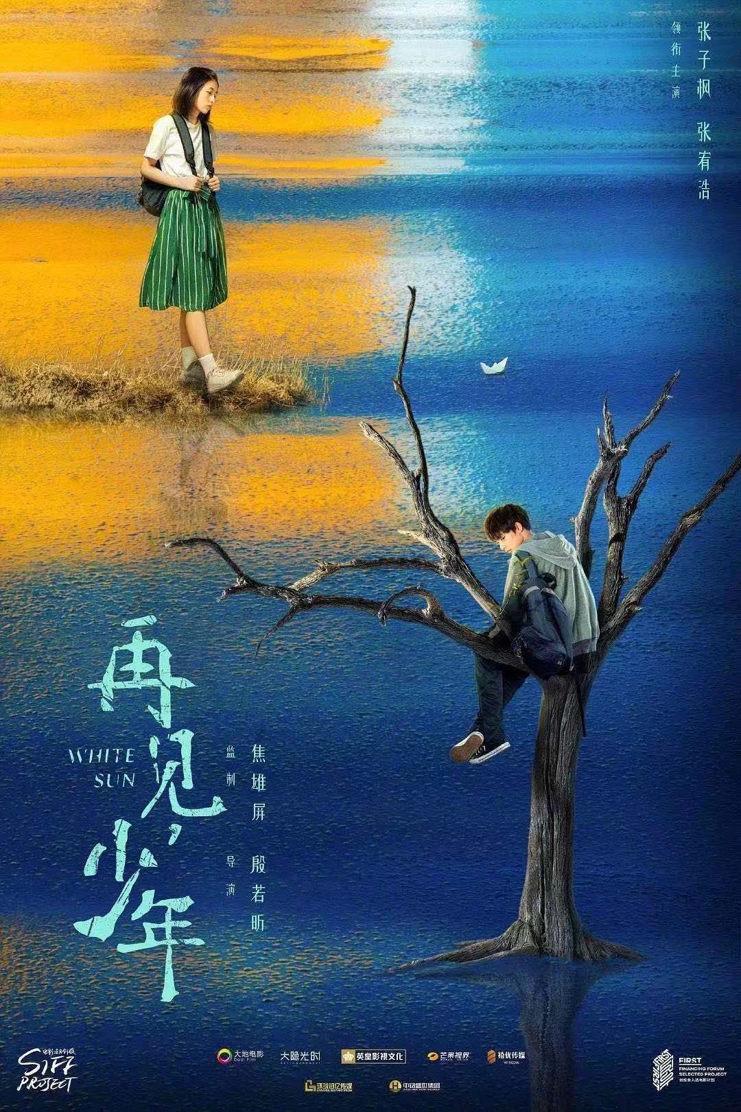 北京环球铂亿传媒有限公司《再见，少年》张子枫、张宥浩主演