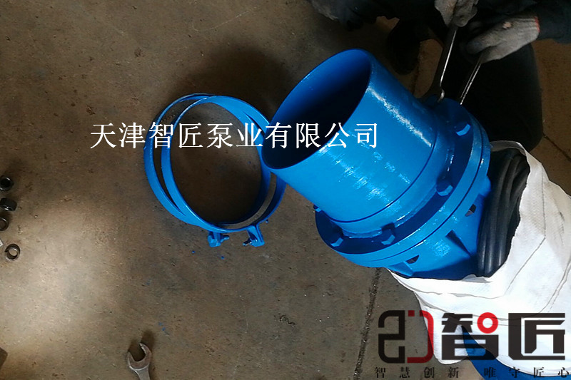 浏阳温泉井用潜水泵***品质--天津智匠泵业