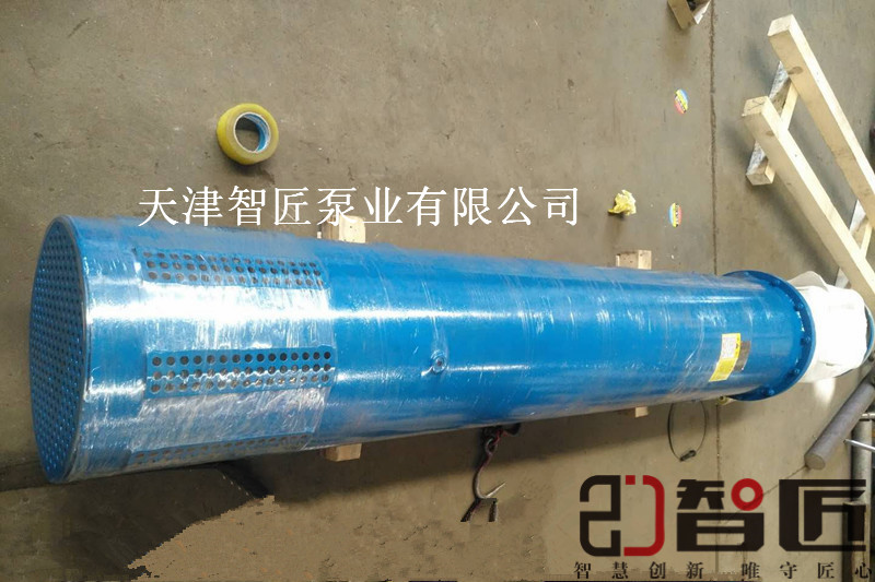 平乐县小直径热水泵型号解释--天津智匠泵业