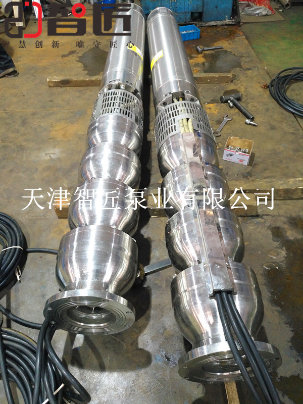 石河子潜油电泵***品质--天津智匠泵业