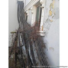 新昌电力电缆线回收（新昌氟塑料电缆价格）