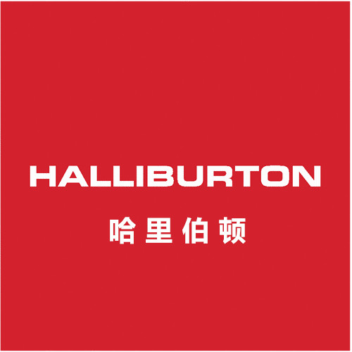 HALLIBURTON液压齿轮泵GD-N-EL-P-FS进口