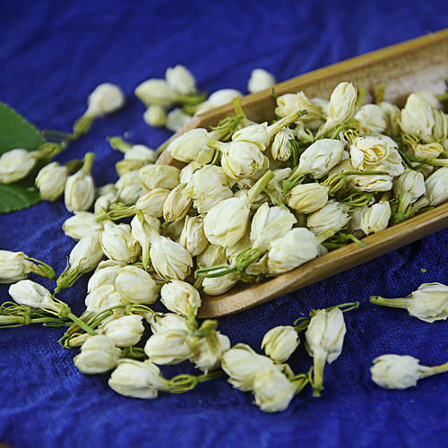 厂家现货供应 茉莉花茶 茉莉花苞茶茉莉花草茶 瓶装