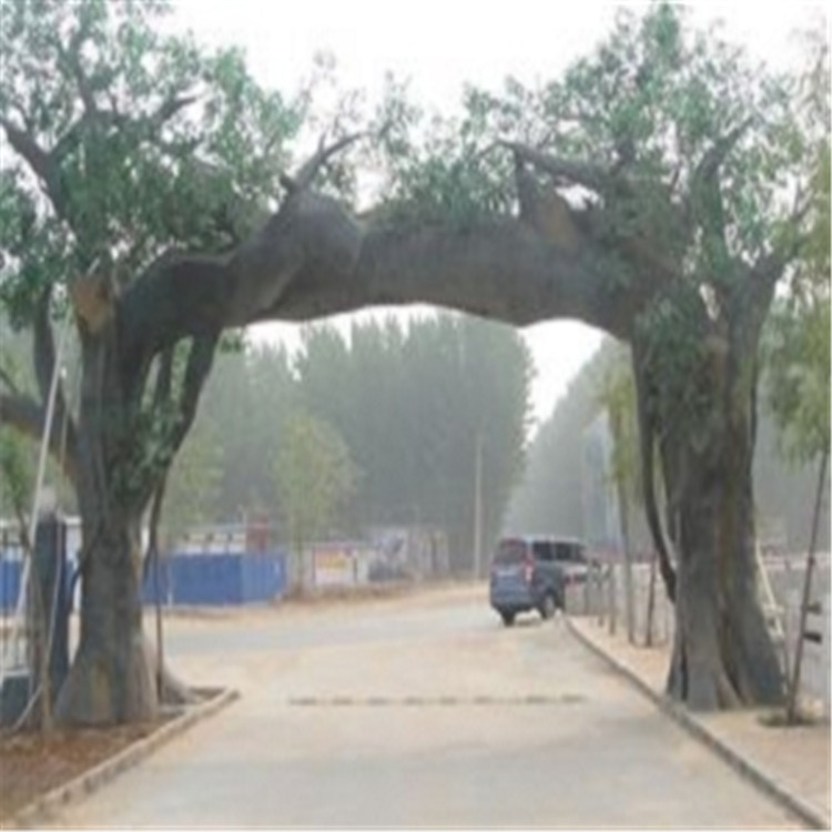 青州市假树厂家假树景观公司 青州市水泥假树制作厂家