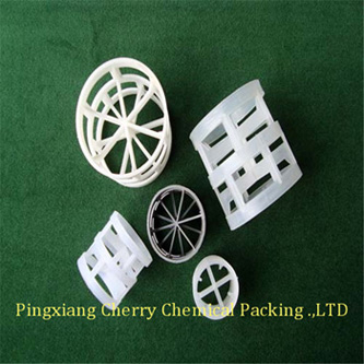 Plastic pall ring塑料鲍尔环 (2).jpg