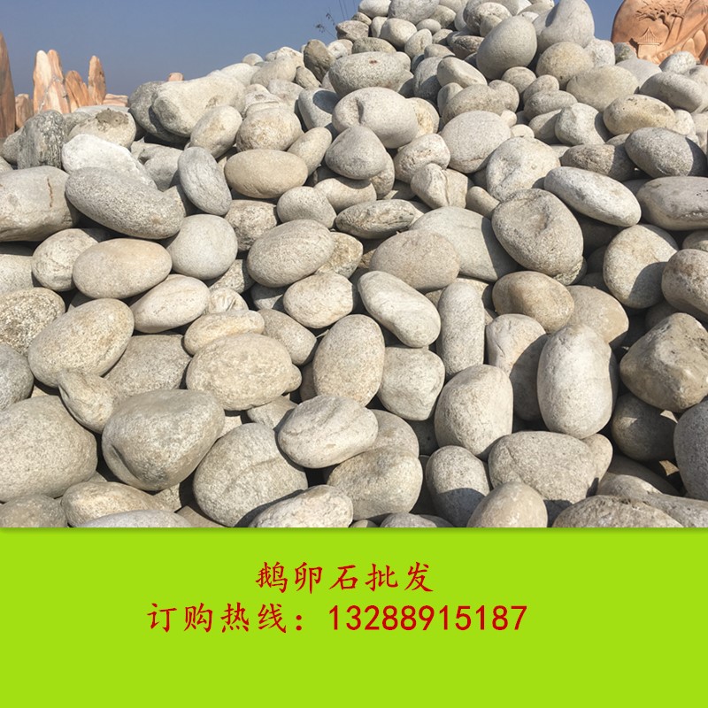 微信图片_201801191229415_副本.jpg