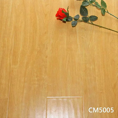 CM5005.jpg