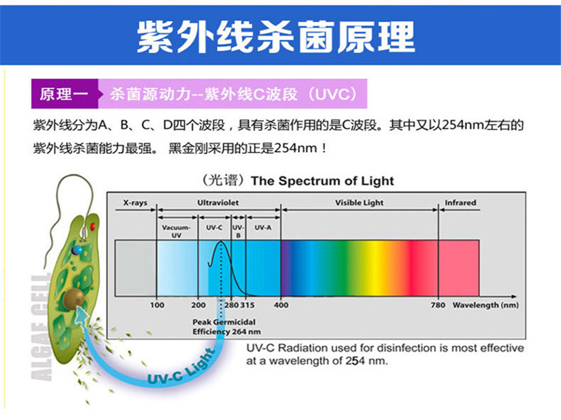 10._副本.jpg