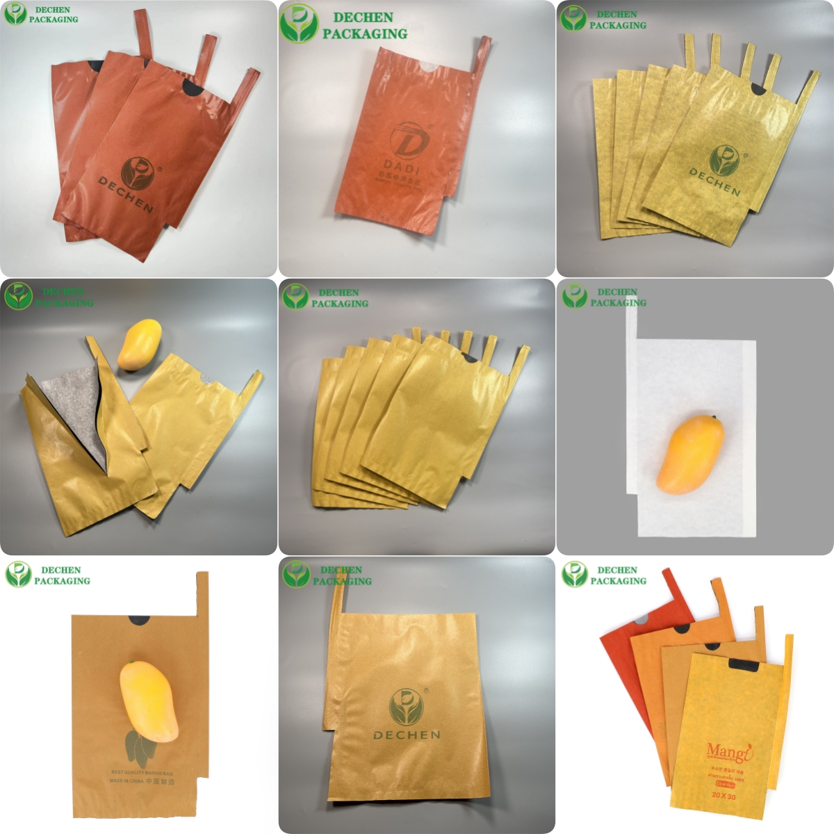 Dechen mango paper bags photo.jpg